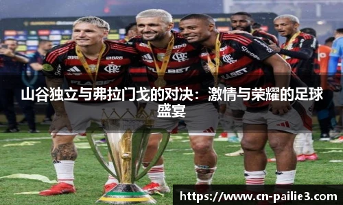 山谷独立与弗拉门戈的对决：激情与荣耀的足球盛宴