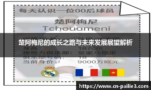 楚阿梅尼的成长之路与未来发展展望解析