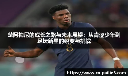 排列三走势图带连线